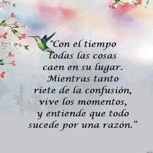 Meet your Posher, Sonia